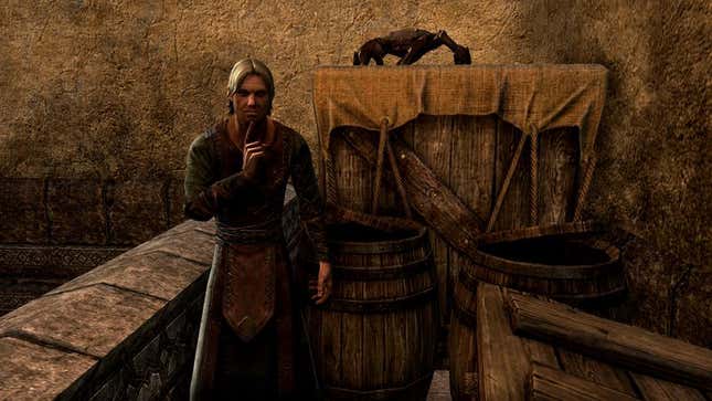 Image for article titled Townsperson In Online RPG Universe Figures Shield, Gold Pieces Should Be Safe In Barrel