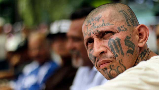 Image for article titled MS-13 Gang Leader Getting Some Pretty Great Ideas From Watching ICE Work