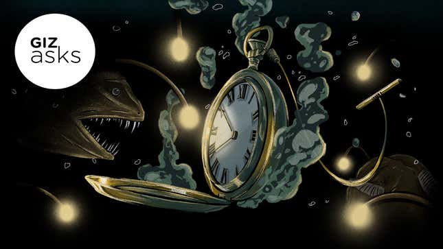 Image for article titled How Do Animals Perceive Time?