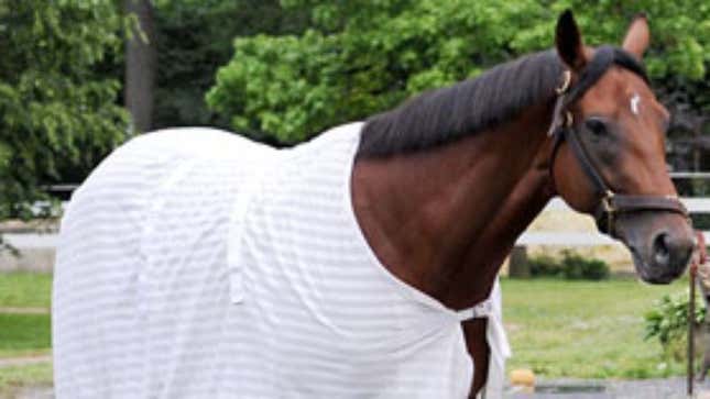 Image for article titled Big Brown Seen Leaving Belmont Carrying Large Sacks Of Cash