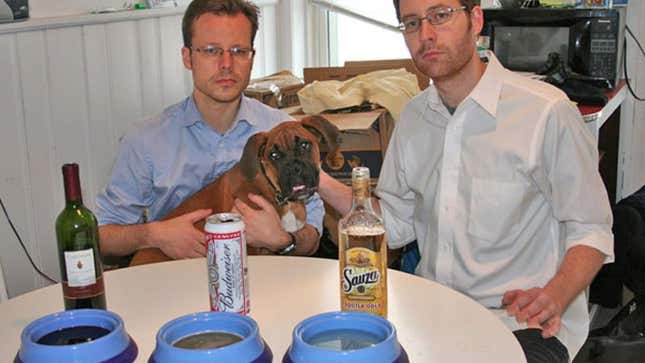 Image for article titled Unemployed Scientists Prove Dog Likes Beer