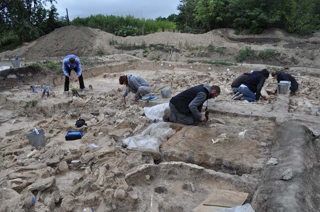 Excavations at the Kostenki 11 site, which took three years.