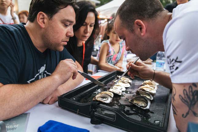 Judges carefully scrutinize a set of shucked oysters