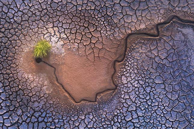 Imagen para el artículo titulado Relájate y disfruta con las imágenes ganadoras del concurso The International Landscape Photographer of the Year