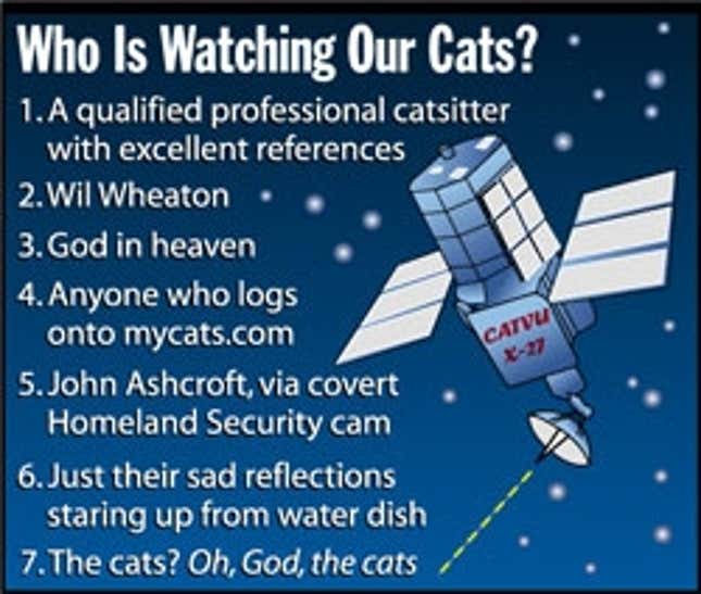 Image for article titled Who Is Watching Our Cats?
