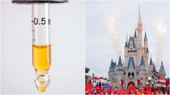 Image for article titled Great-grandmother who spent 12 hours in jail for bringing CBD oil to Disney World will sue [Updated]