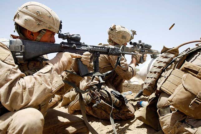 The eagle said he would like to visit Iraq someday, but is worried it might cause impromptu firefights.