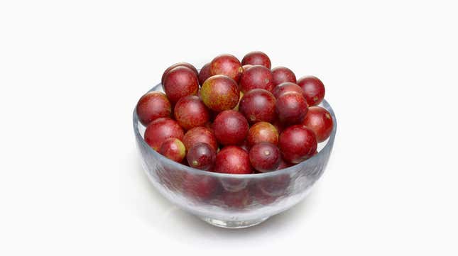 bowl of small round red berries on a white background