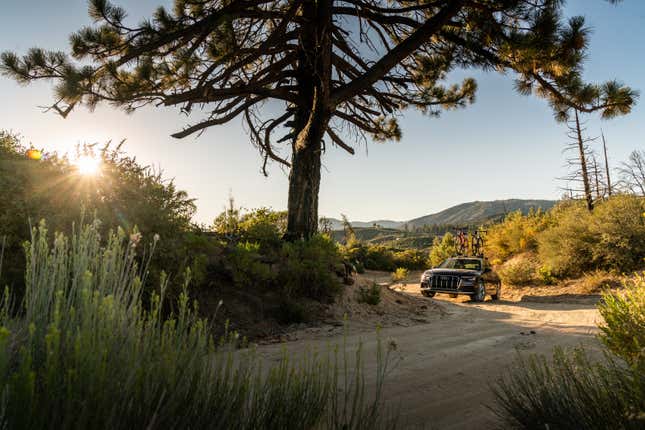 Image for article titled 2020 Audi A6 Allroad Carves Out A Softer Niche