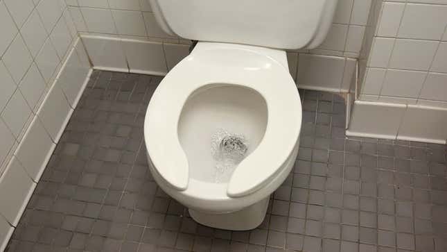 Image for article titled Study Finds Flushing Toilets Wastes Billions Of Gallons Of Piss And Shit Annually