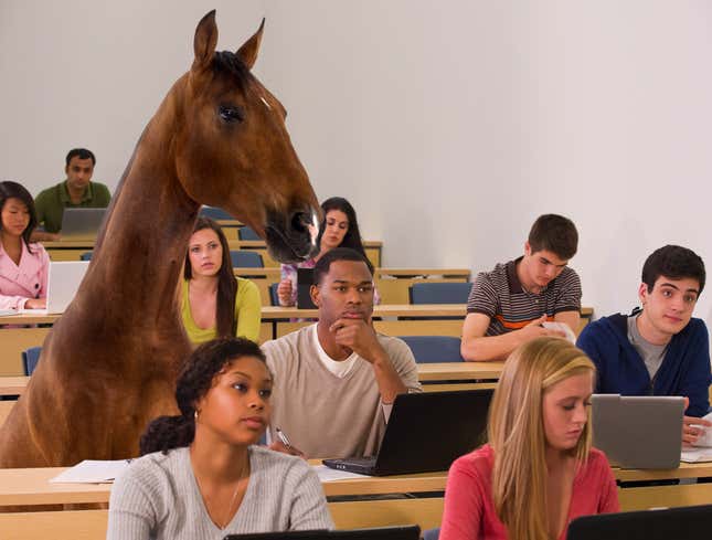 Image for article titled College Equestrian Clearly Coming To Class Straight From Practice