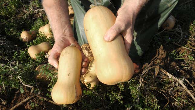 Image for article titled Saturday Night Social: What Do I Do With All These Gourds