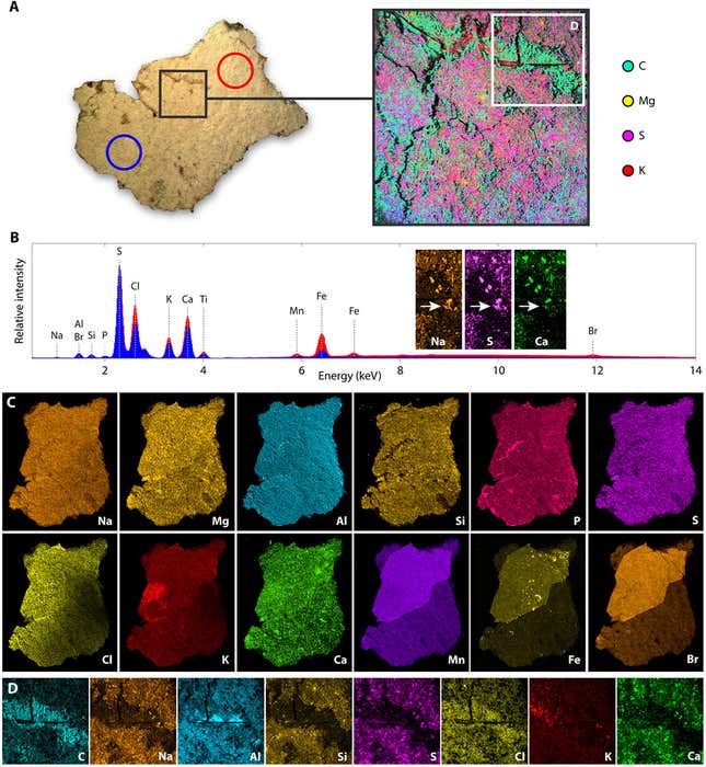 Resultados de diferentes análisis de microscopía para determinar la composición del fragmento.