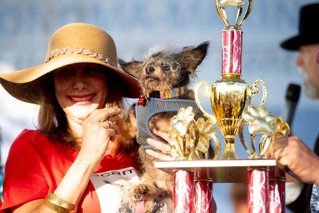 Scamp recibiendo el trofeo al primer lugar.