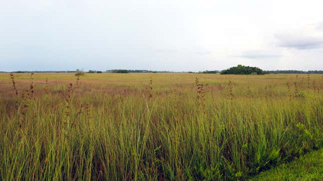 Flat, low, and on a porous bedrock, South Florida is extremely vulnerable to the impacts of sea level rise.