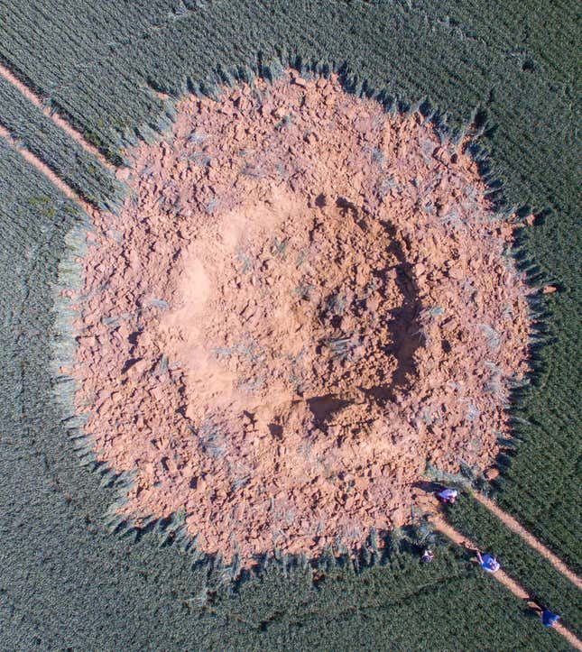 Imagen para el artículo titulado Una bomba de la Segunda Guerra Mundial explota 75 años después dejando un enorme cráter en un campo alemán