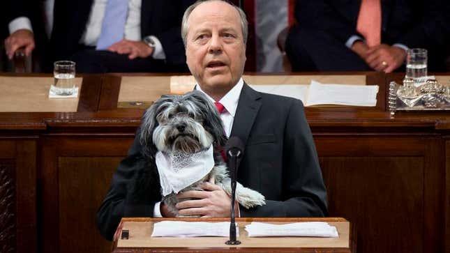 Lawmakers are calling the dog-neckerchief bill &quot;long overdue.&quot;