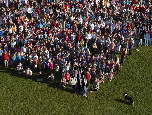 Image for article titled U.S. Border Collie Rounds Up 11 Million Illegal Immigrants