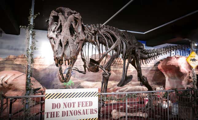A Tyrannosaurus rex skeleton named “Stan” on display at Washington Pavilion’s Kirby Science Discovery Center in Sioux Falls, South Dakota.