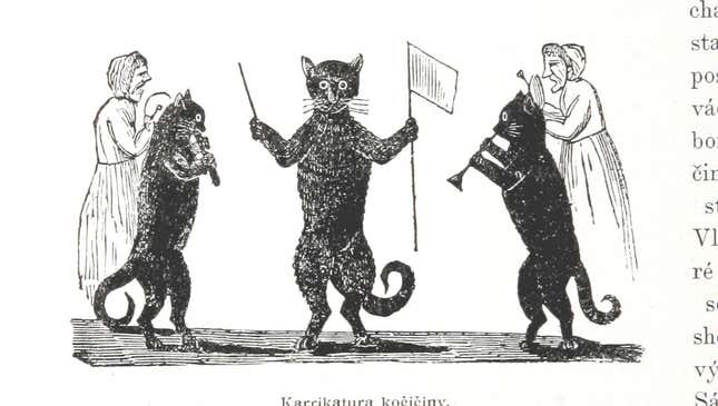 What Dark Pact Are These Cats Preventing?
