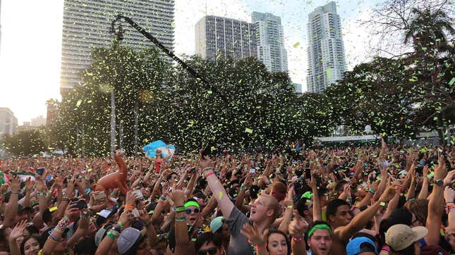 Image for article titled Miami&#39;s Huge EDM Festival Stressed the Hell Out of the Poor Fish