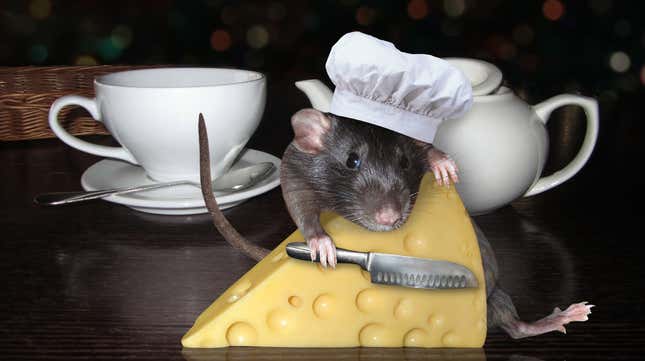 Image for article titled Viral video of rats swarming a DC pizzeria was a sham, owner says