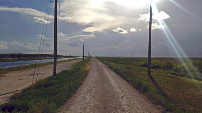 A dirt road just north of the Tamiami Trail.