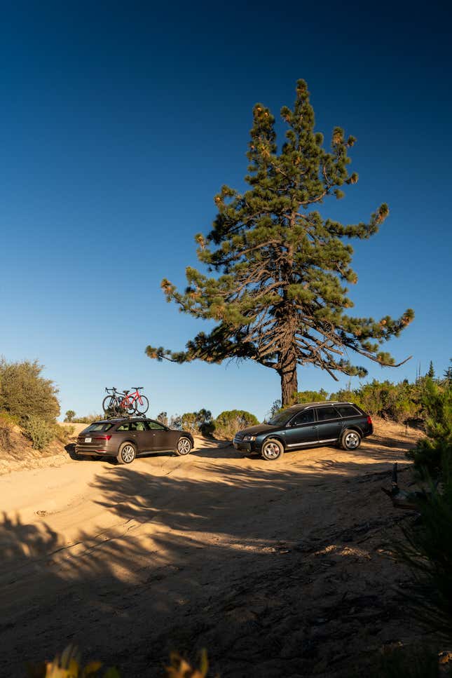 Image for article titled 2020 Audi A6 Allroad Carves Out A Softer Niche