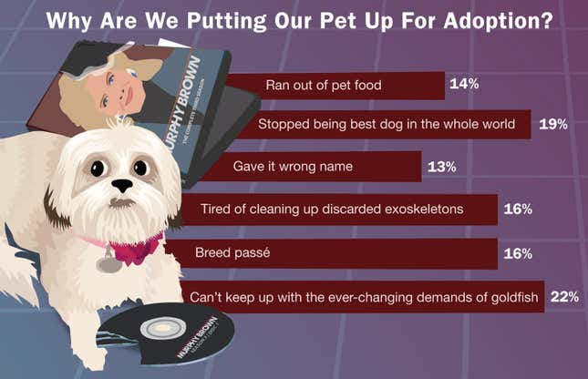 Image for article titled Why Are We Putting Our Pet Up For Adoption?