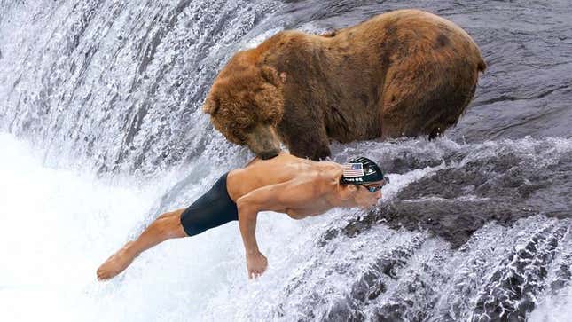 Image for article titled Grizzly Bear Catches Spawning Michael Phelps In Jaws