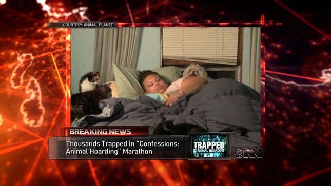 Thousands Of Americans Trapped In 'Animal Hoarders' Marathon