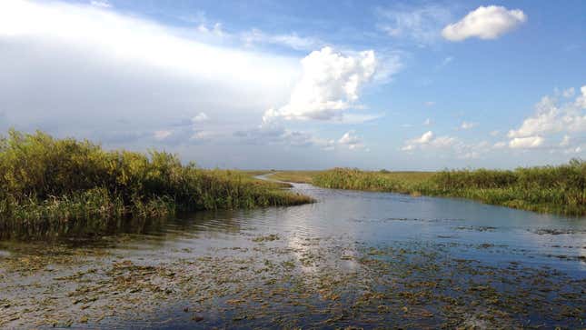 An example of an artificial canal dug to divert water in South Florida.