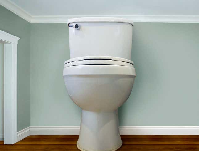 Image for article titled Luxury Condo Boasts Floor-To-Ceiling Toilets