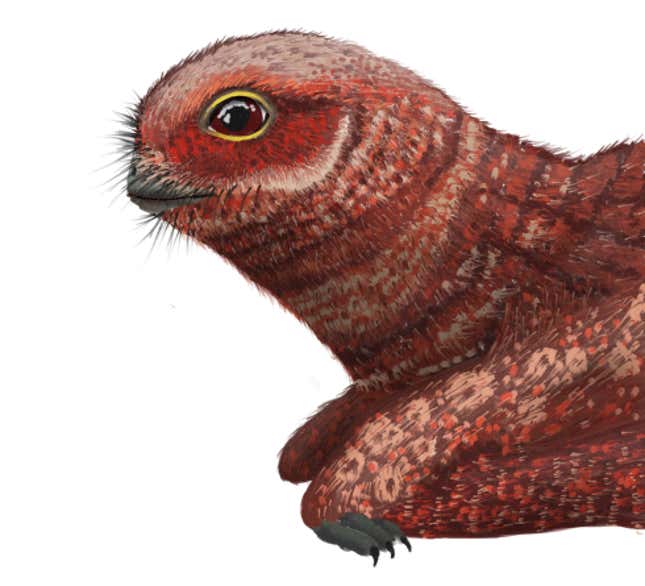 Imagen para el artículo titulado Este dinosaurio que parece un Porg de Star Wars volaba sobre China hace 160 millones de años