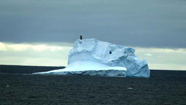 Image for article titled DNC Committee Throws Bound Jay Inslee Onto Melting Iceberg Before Pushing Him Out To Sea