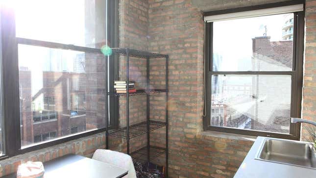 Image for article titled Apartment Completely Flooded With Disgusting Sunlight