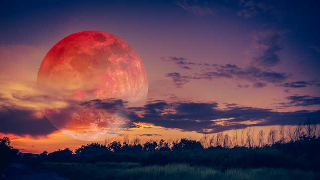 Image for article titled When to See This Month&#39;s &#39;Pink Super Moon&#39; at Peak Brilliance