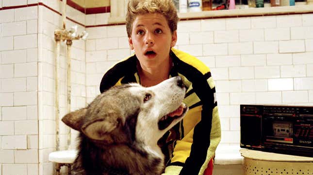 Toss Some Treats at These 10 Heroic Horror Dogs