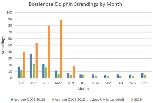 Aggressive' Dolphin Off Texas Coast Causing 'Concerns for Human Safety,'  NOAA Says