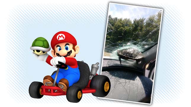 Image for article titled Turtle-Into-Windshield Collision Gives Stark Reminder Of The Grim Reality Of Mario Kart