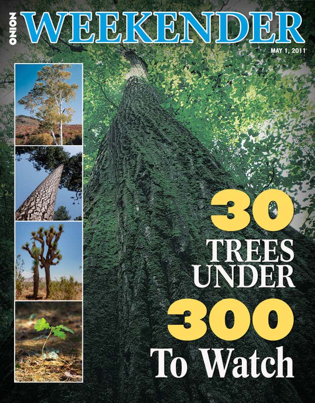 Image for article titled 30 Trees Under 300