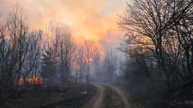A wildfire near the village of Volodymyrivka, in the exclusion zone around the Chernobyl nuclear power plant.