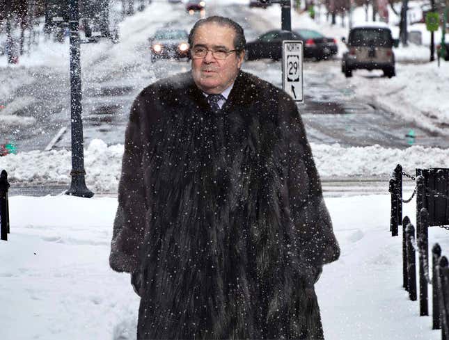Image for article titled Scalia Bundles Up In Fur Robe In Preparation For D.C. Blizzard