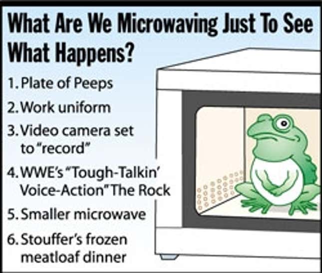 Image for article titled What Are We Microwaving Just To See What Happens?