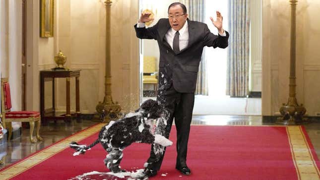 Image for article titled U.S. Loses U.N. Membership After Soapy Bo Obama Jumps Up On Secretary-General