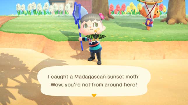 Image for article titled I Finally Found A Bug Blathers Doesn’t Hate In Animal Crossing: New Horizons