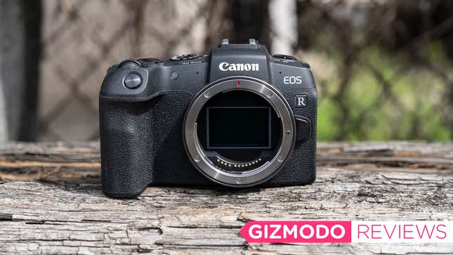 Image for article titled I Pitted Canon&#39;s &#39;Affordable&#39; EOS RP Against My Beloved Sony A7 III