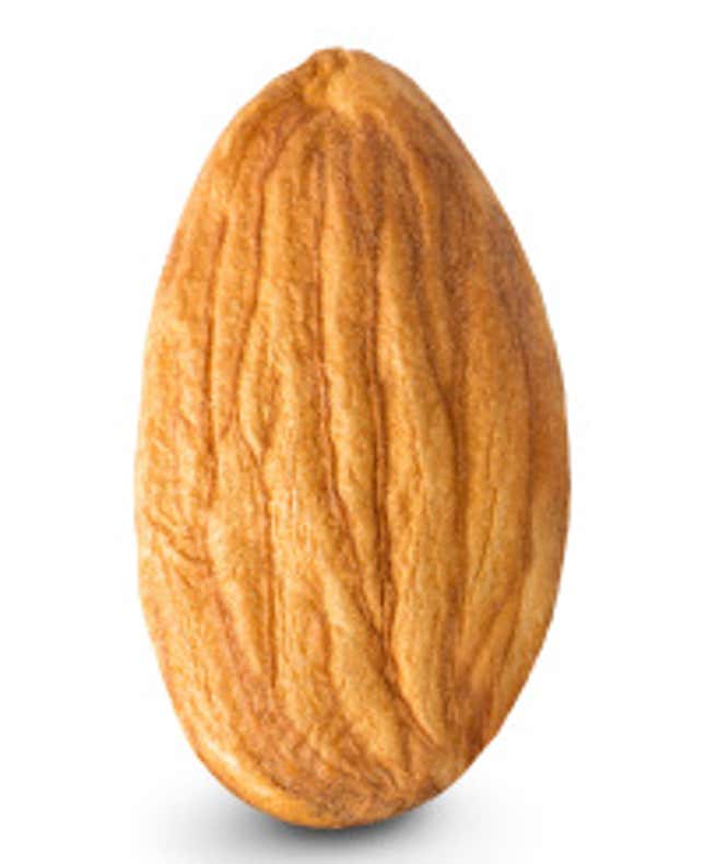An Almond
