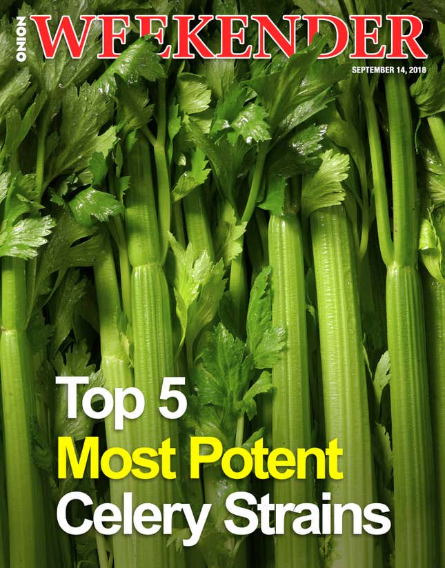 Image for article titled Top 5 Most Potent Celery Strains