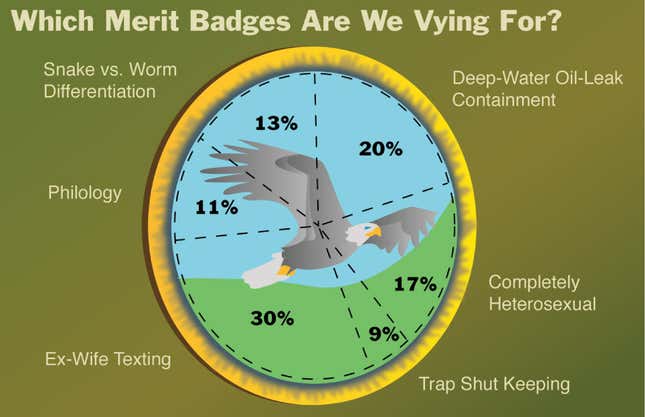 Image for article titled Which Merit Badges Are We Vying For?